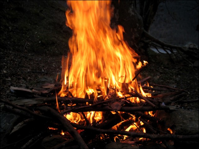 Burning Wood Stock